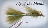 Fly of the Month